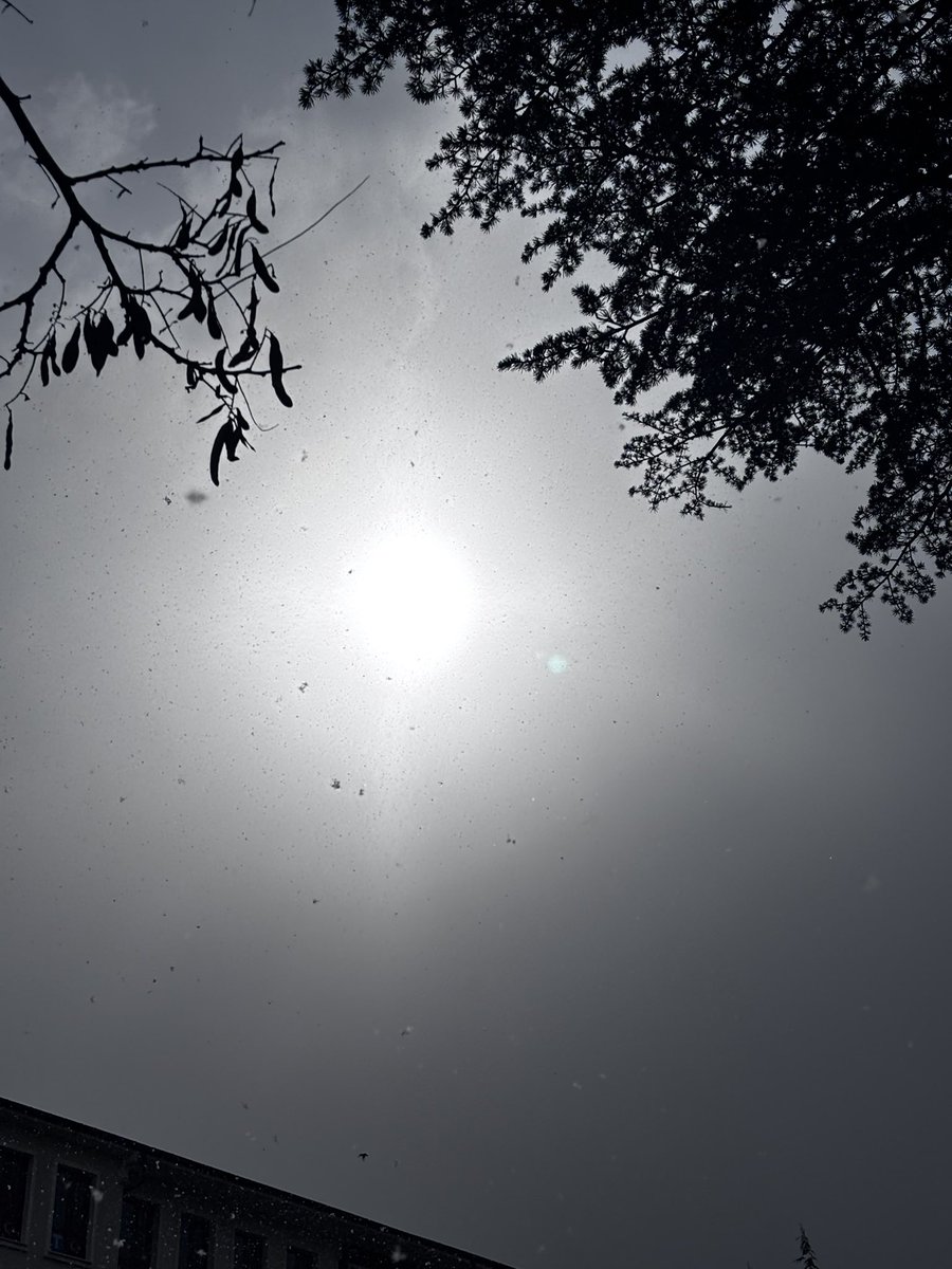 Hava Durumu:Güneşli Kar yağışlı