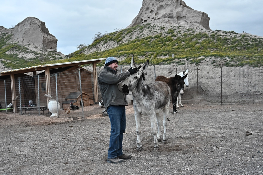 oulosP's tweet photo. Thousands of Santorini residents may have left the island due to the continuous earthquakes, more than 200 in the past few days, but the volunteers at the Santorini Animal Welfare Association's shelter for stray and abused animals remain to care for the animals🫡 https://t.co/9pqufAwCyg