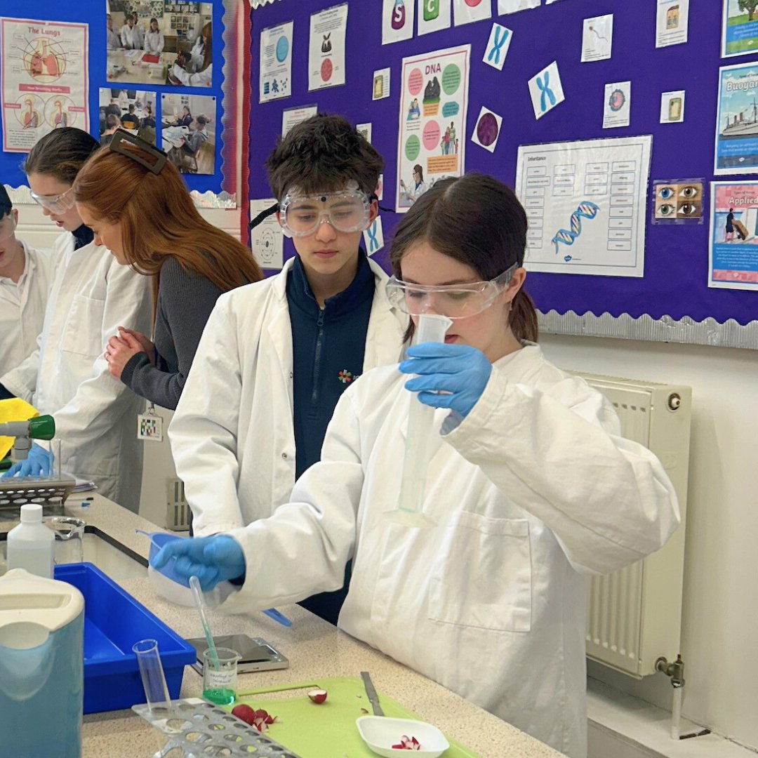 ICSLondon's tweet image. 🧪Year 8 students are putting their science skills to the test! They’re designing and conducting experiments on enzyme activity, exploring how pH &amp;amp; temperature affect catalase. Stay tuned for their discoveries! #MYPscience #Biochemistry #FutureScientists
