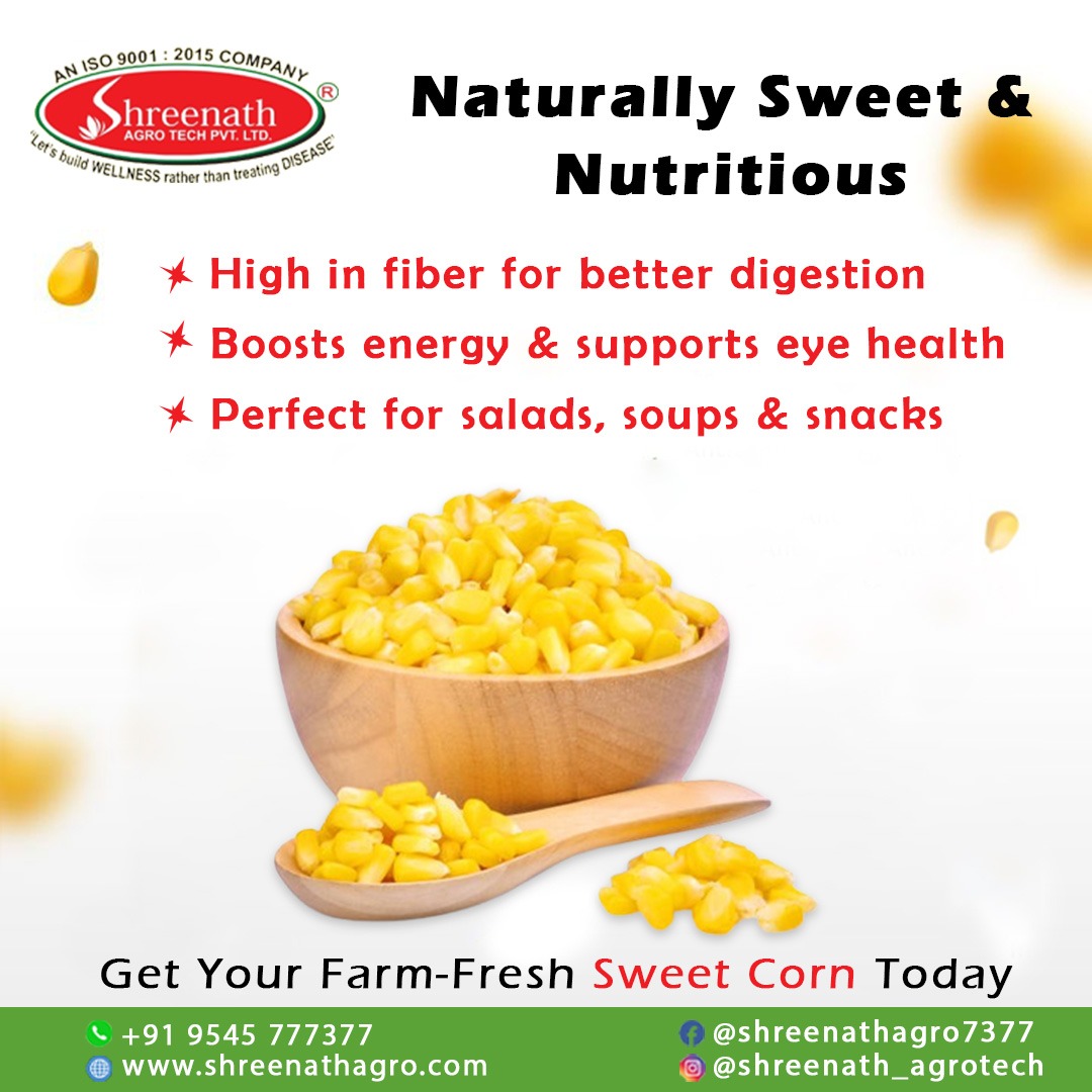 🌽 Fresh, Sweet &amp; Straight from the Farm! 🌾✨

Get your hands on the juiciest farm-fresh sweet corn at Shreenath Agro Tech Pvt Ltd! 🌿🌽 Perfect for roasting, boiling, or making delicious recipes! 😋

📍 Visit us today &amp; taste the freshness!

#FarmFresh #SweetCorn