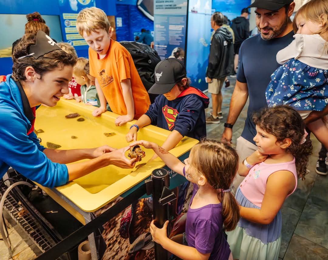 Huntsman Marine tweet media