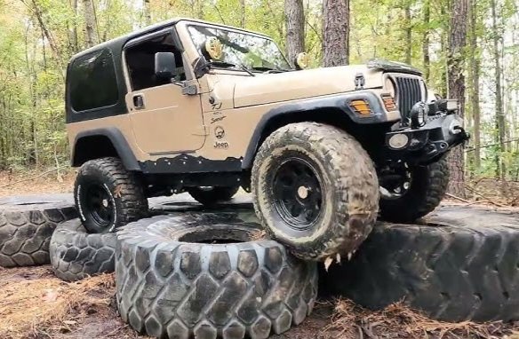 Good morning Mafia 👋☕️

Lets get through this little obstacle called Thursday, better days are ahead! Be safe out there and make your day great 🤙