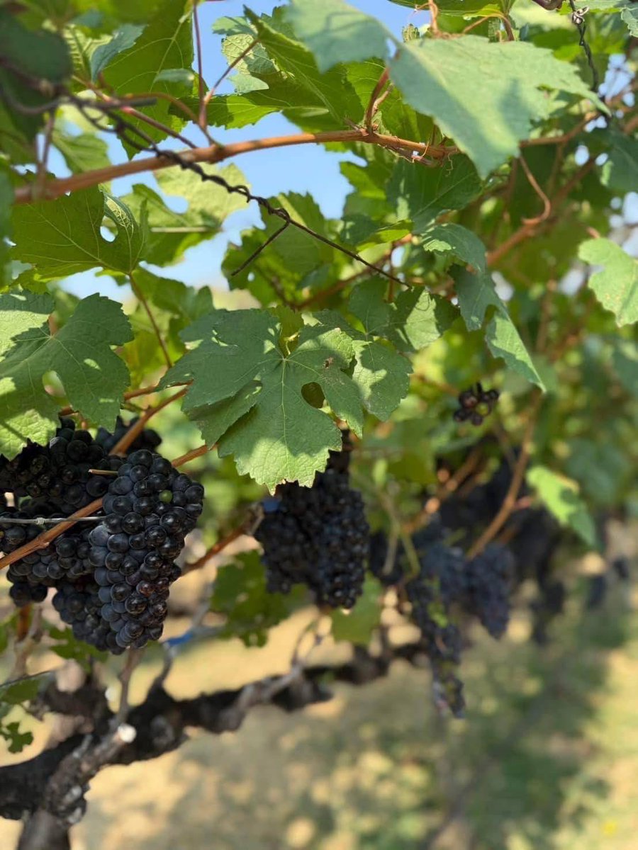 TAT Newsroom tweet media