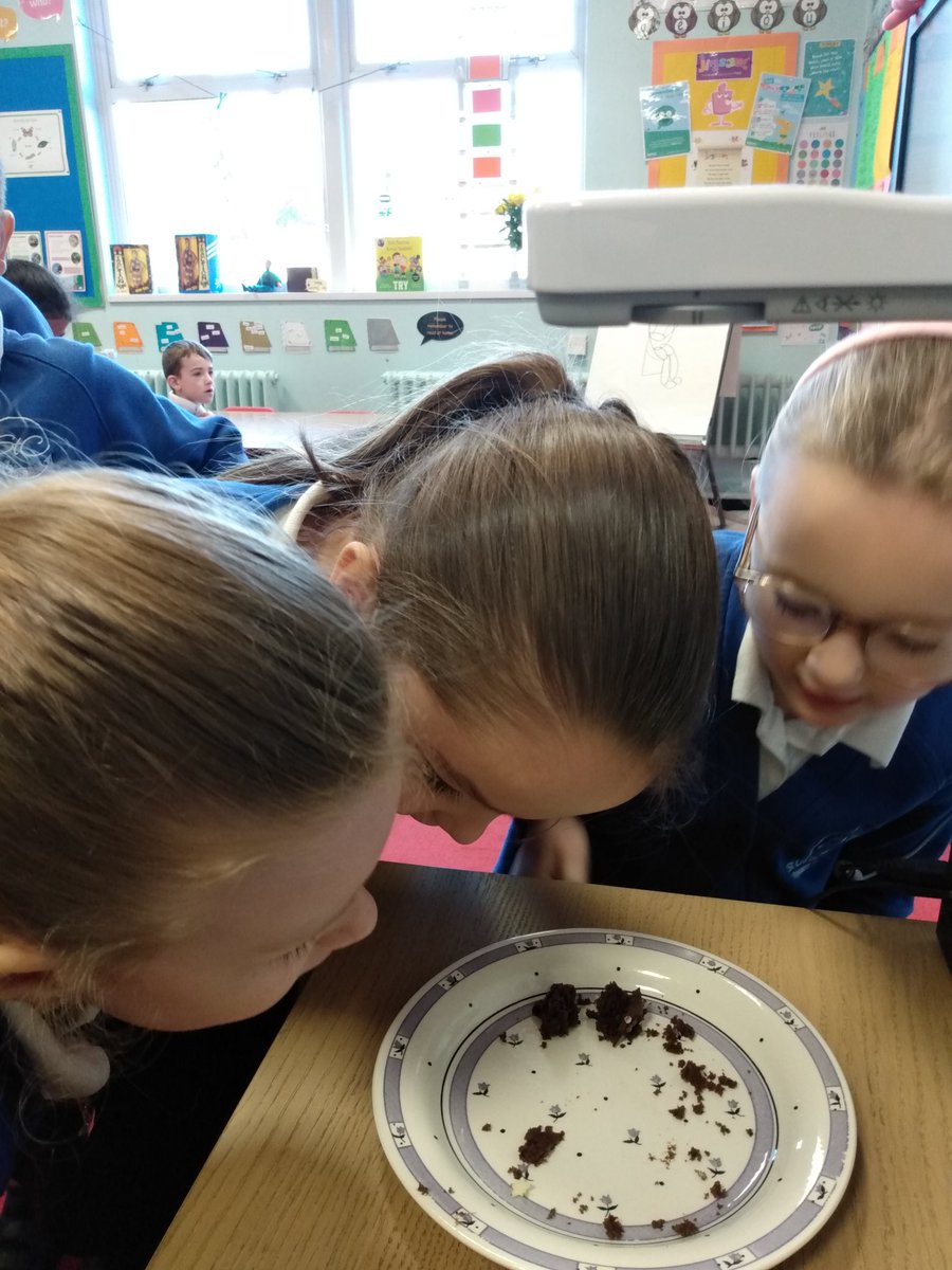 St Christopher Primary tweet media