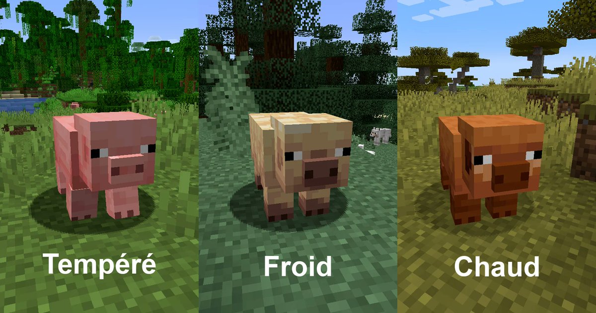 Minecraft-France tweet media