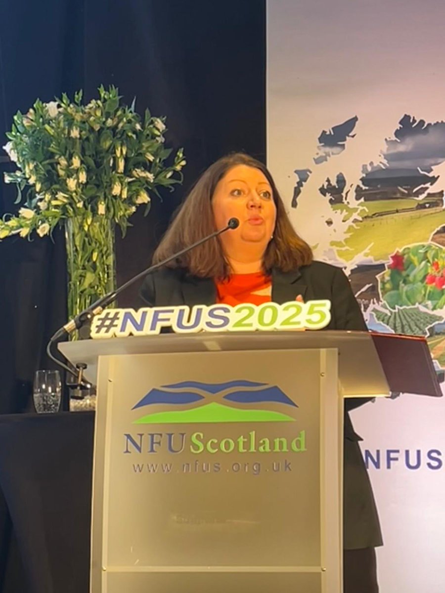 Kirsty McNeill MP tweet media