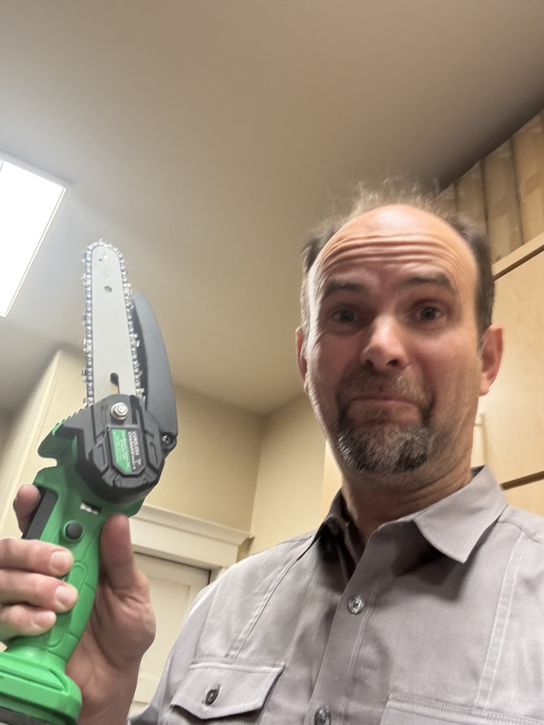 Temu...the magical land where you can literally get a battery operated hand chainsaw for $20. (ehh...$22 post-tariff)...