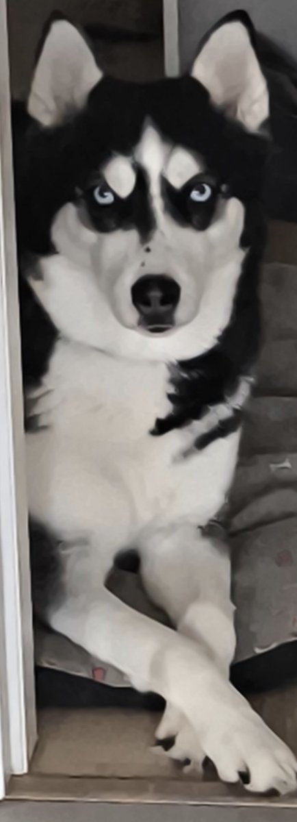 Isaranzu tweet media