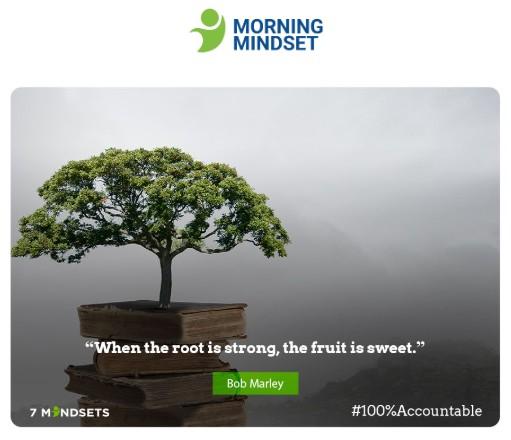 South County tweet media