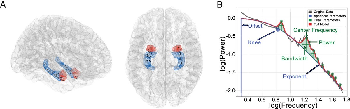 Meditation induces neural changes in beta and gamma activity in the amygdala and hippocampus.

🧵1/11