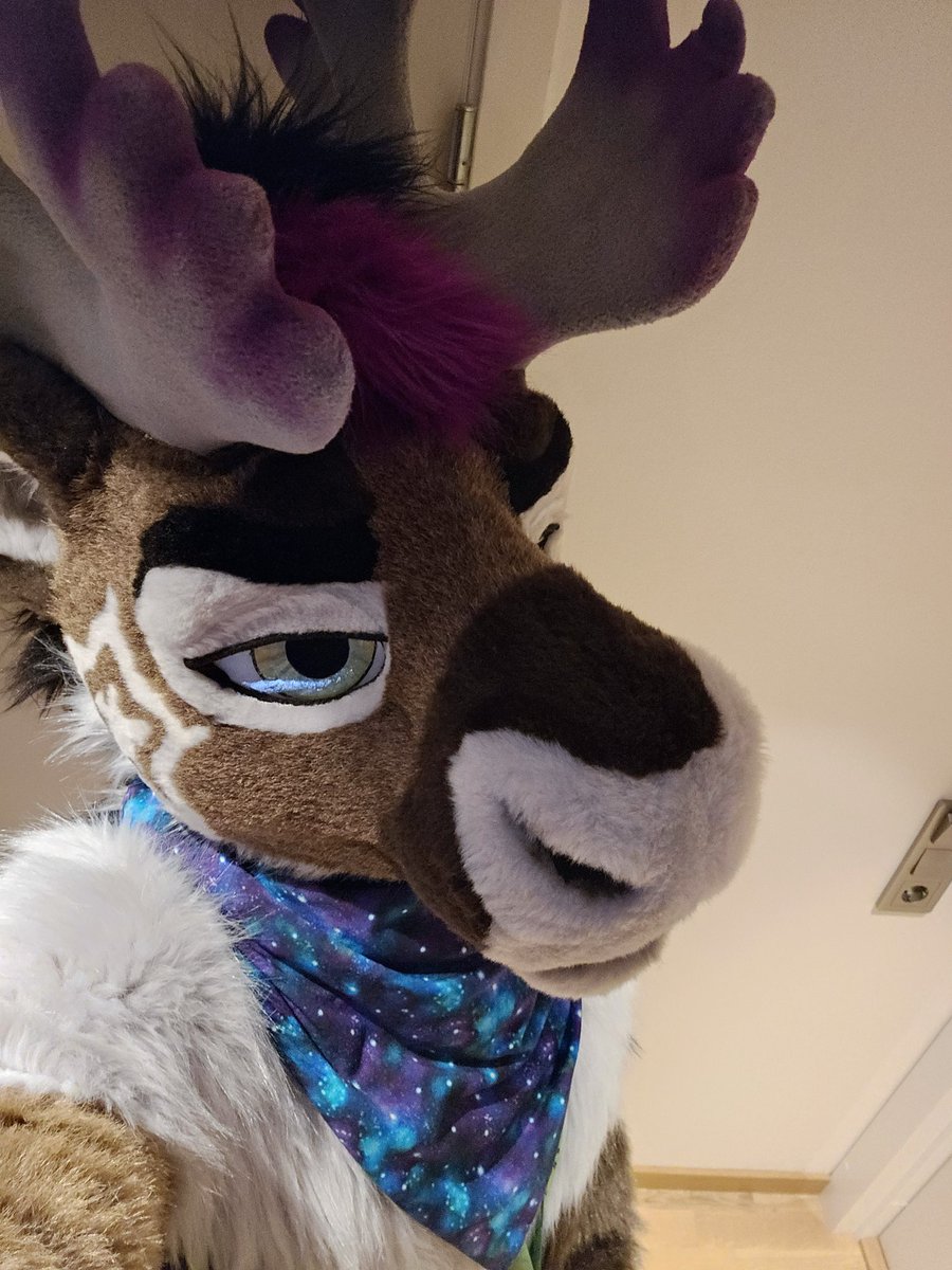 Berion 🔜 NFC ➡️ CFZ tweet media