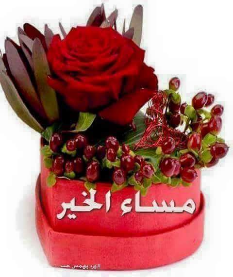 مـسـآء آلخيـﮯر للجمـيـﮯع🌹❤