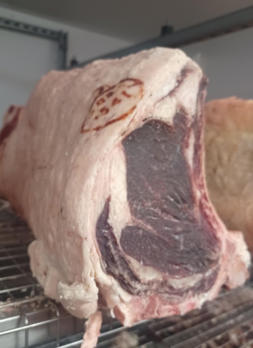 Stoddart Assured Dry Aged Aberdeen Angus Beef 🥩 #stoddartassured #bestinbeef #dryaged #aberdeenangus #provenance #angus #consistency #selection #steak #roast #sirloin #sirloinsteak