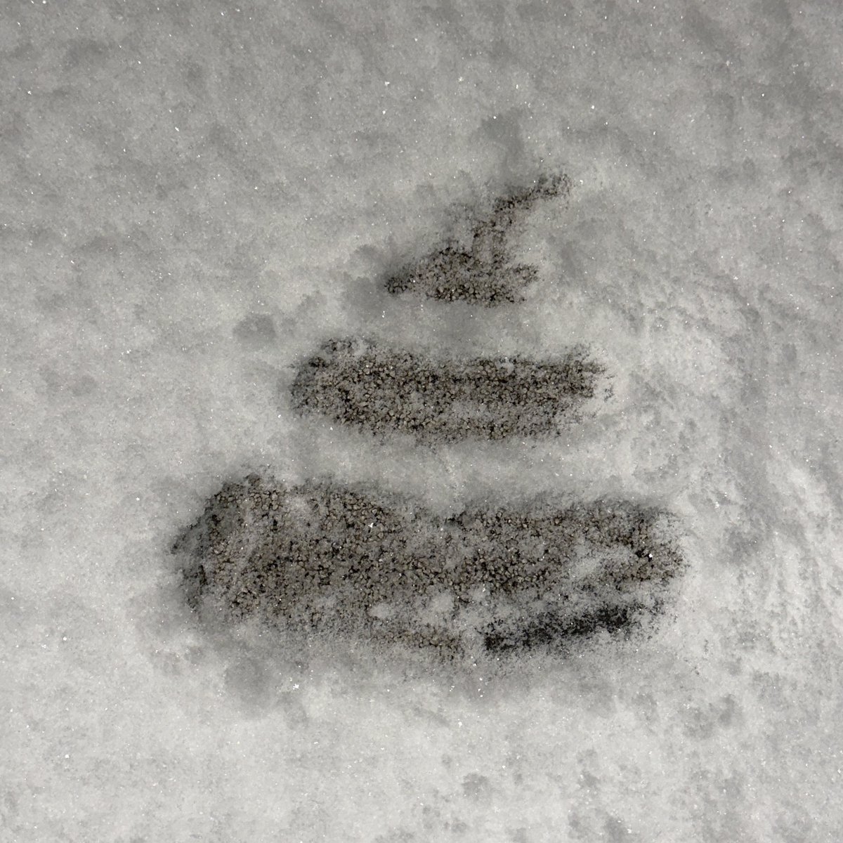 인스타용                                  트위터용