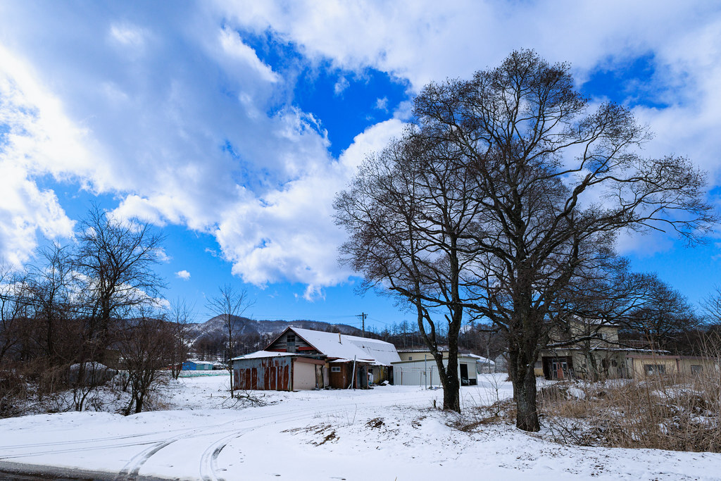 A House in snow country