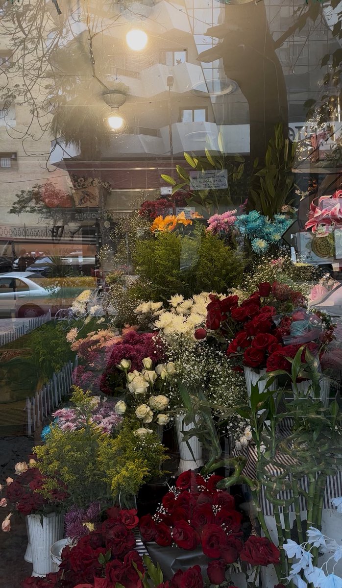 1eenknow's tweet image. flowers everywhere.