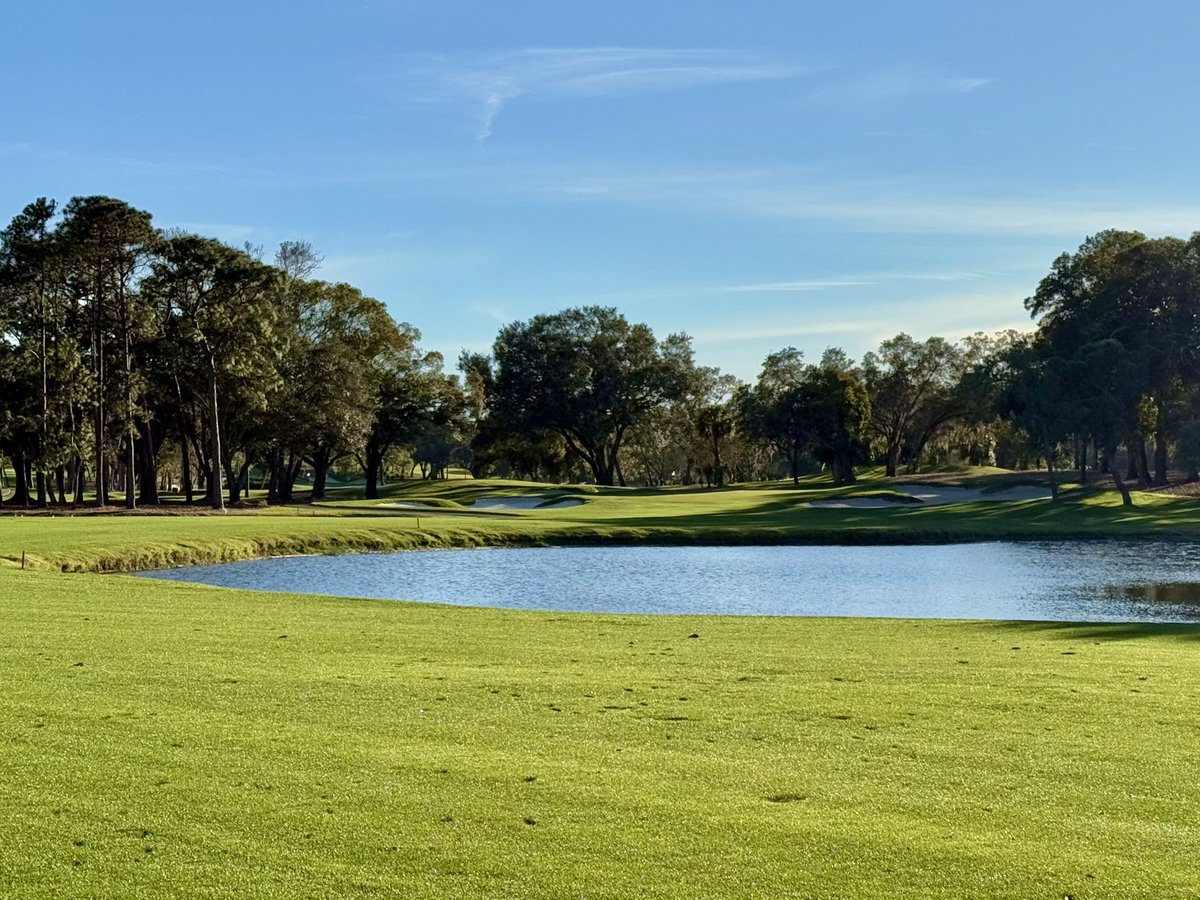 Pete Pappas (@pgapappas) on Twitter photo ๐จ Play With Pete Invitational from the Copperhead Course at Innisbrook Resort: Details and Sign Up ๐จ
Leave a comment or send me a DM here, on Instagram, or my blog and tell me why you want to be a player at #PWPICopperhead. ๐
๐ Details here: pgapappas.blogspot.com/2025/02/2025-pโฆ ๐ฟ๐ฏ๐ฅ ๐จ Play With Pete Invitational from the Copperhead Course at Innisbrook Resort: Details and Sign Up ๐จ
Leave a comment or send me a DM here, on Instagram, or my blog and tell me why you want to be a player at #PWPICopperhead. ๐
๐ Details here: pgapappas.blogspot.com/2025/02/2025-pโฆ ๐ฟ๐ฏ๐ฅ