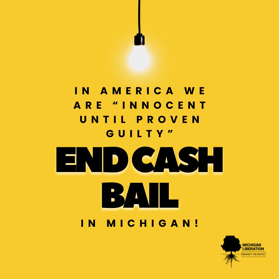 Michigan Liberation tweet media