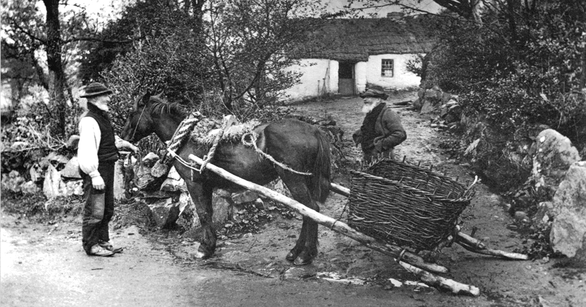 🇮🇪 Do you have Irish ancestry? Irish family history research can be tricky - here's our expert guide to help you get started:

whodoyouthinkyouaremagazine.com/tutorials/over…