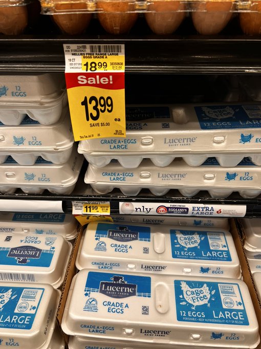 Alex Cole tweet media