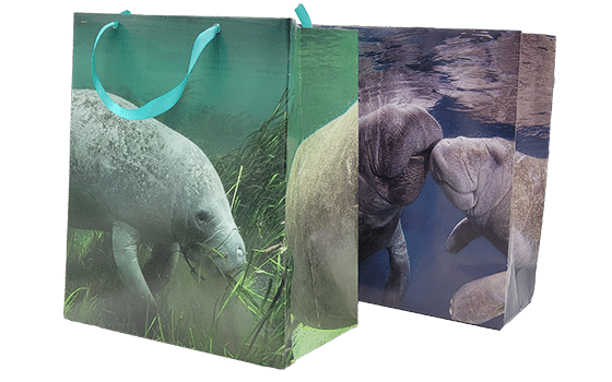 Save the Manatee tweet media