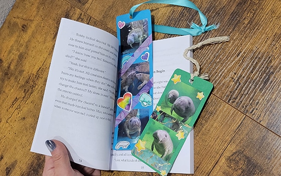 Save the Manatee tweet media