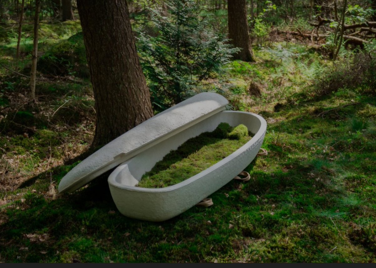 Becoming one with nature in only 45 days, enriching soil biodiversity and feeding the earth <a href="/LoopInfo78857/">Loop Biotech</a> <a href="/the_AGFD/">Association of Green Funeral Directors</a>