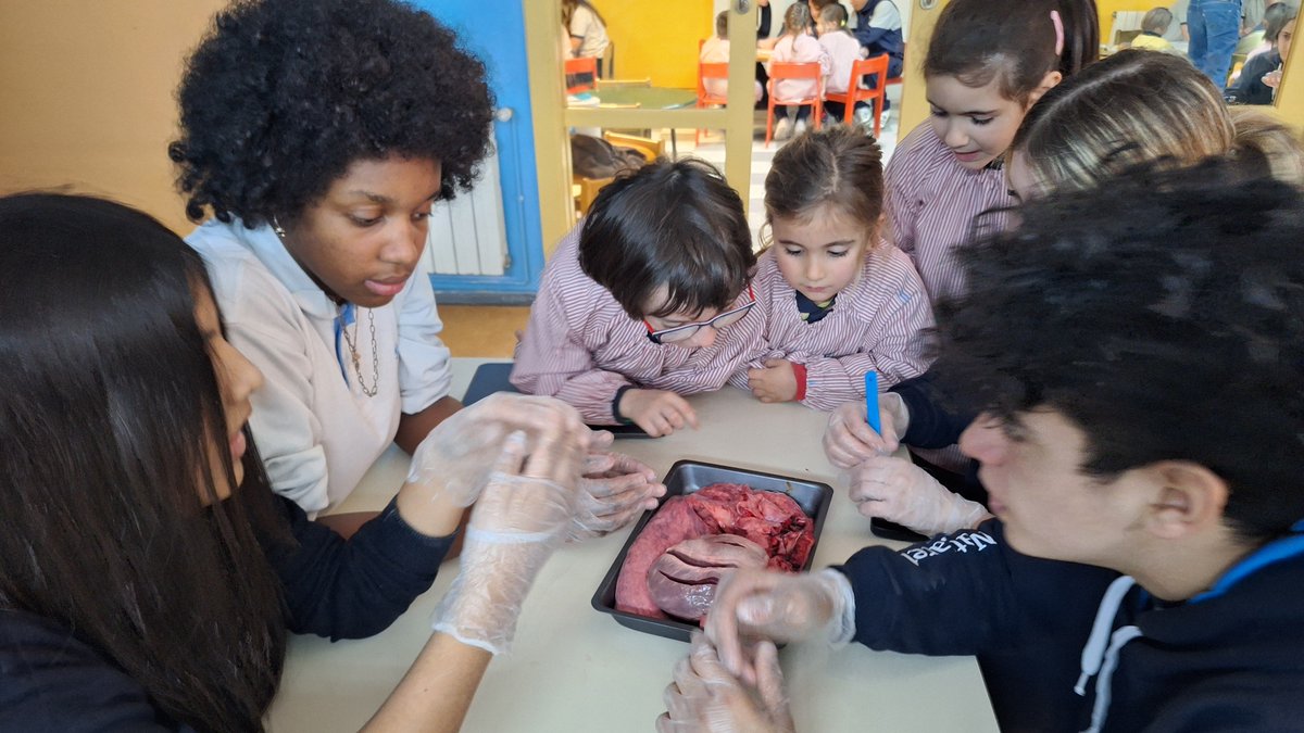 InfantNatzEsplu's tweet photo. Investiguem i experimentem amb els nostres companys i companyes de l'ESO #I5 #bodyteam https://t.co/OZI3cc3Zpk