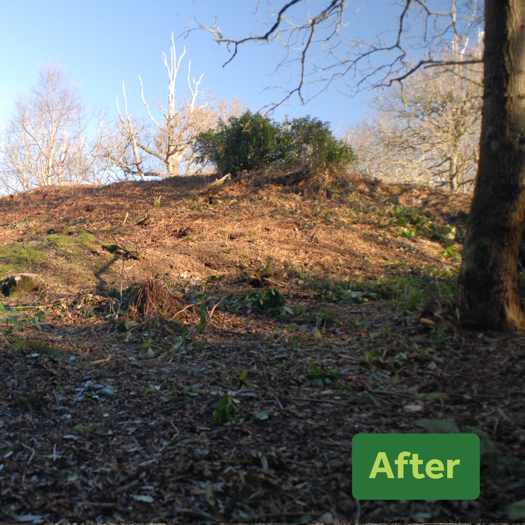 Isle of Wight National Landscape tweet media