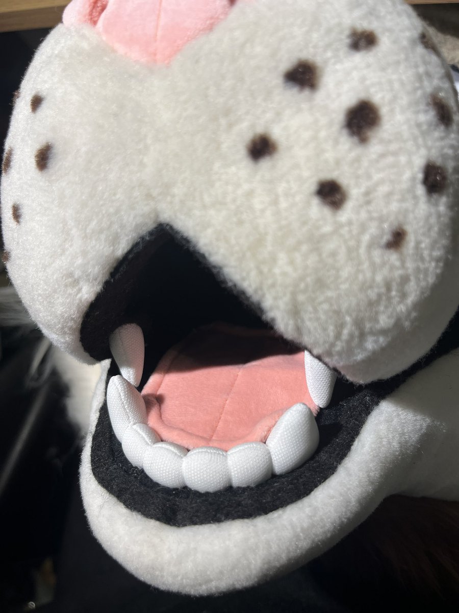 New suit reveal *very* soon 👀💕

For now, maw 🦷