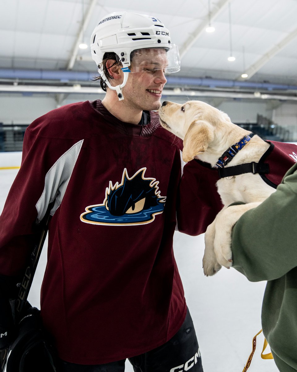 x-Cleveland Monsters tweet media