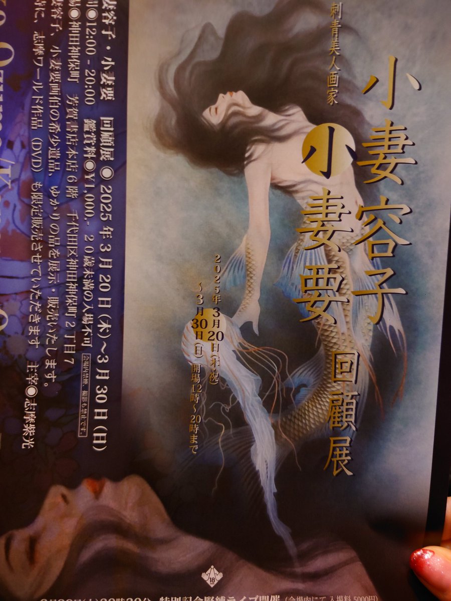 SM秘小説小妻容子挿絵 