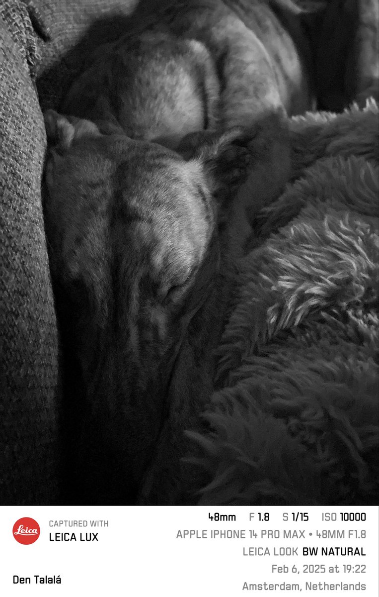 My boy napping next to me https://t.co/QV3LwLSik5