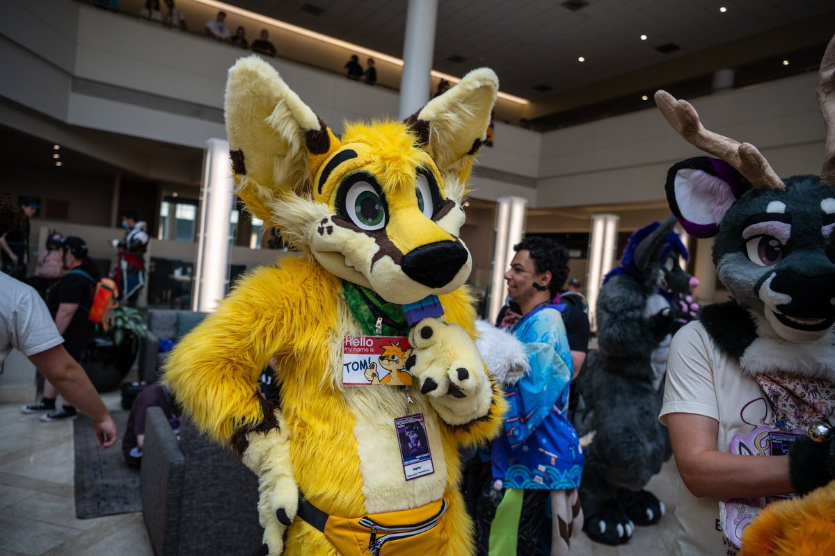 RockySheperd's tweet photo. RockySheperd's Daily Fursuit Photo 

🐾 - @kepfox &amp; @Hugz_N_Snugz 
🧵 - @MoreFurLess 
📷 - jordanfelle 
🌎 - Furrydelphia 2024 https://t.co/ORuKk8K8kh