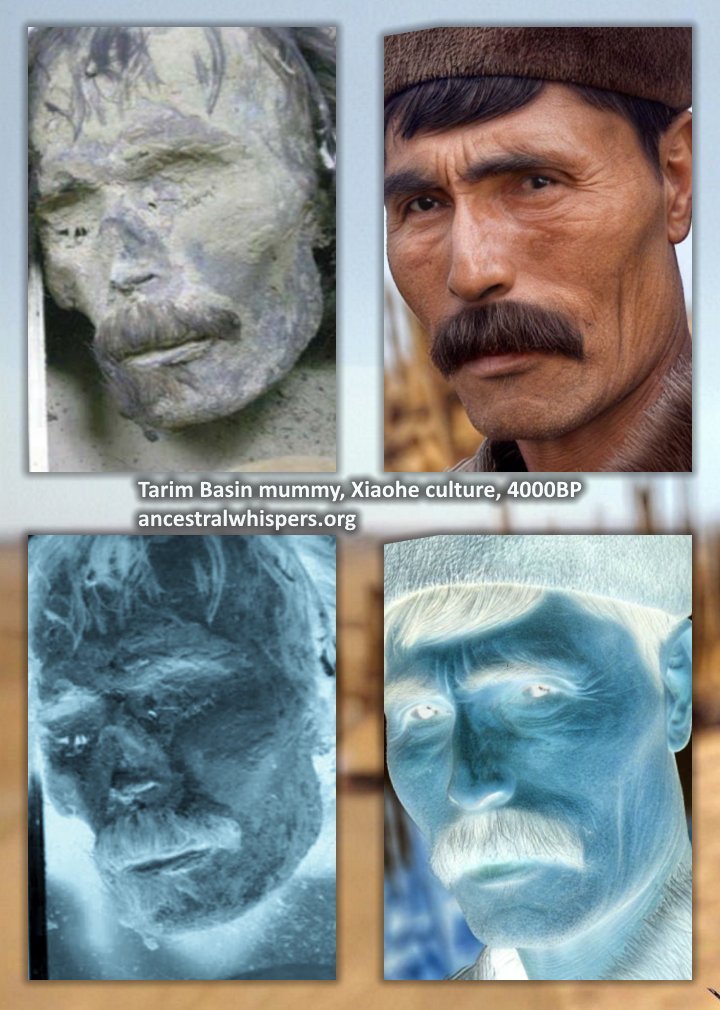 Ancestral Whispers tweet media