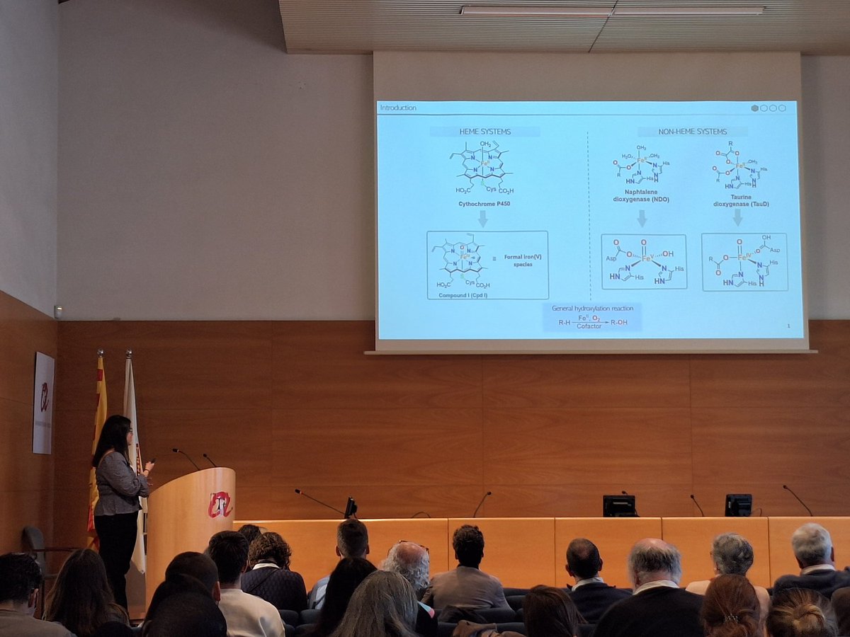 QBIS-CAT Research Group (@qbiscat_udg) on Twitter photo <a href="/amalvarez98/">Andrea Álvarez</a> also presented the work she is doing in her PhD. She presented her research on Fe(V)-oxo-carboxylato species relevant in g-lactonization reactions. Congratulations Andrea!
<a href="/MiquelCostas/">Miquel Costas</a> <a href="/IQCCUdG/">IQCC UdG</a> <a href="/udgdoctorat/">Escola de Doctorat de la UdG</a> <a href="/UdGRecerca/">UdG Recerca</a> <a href="/amalvarez98/">Andrea Álvarez</a> also presented the work she is doing in her PhD. She presented her research on Fe(V)-oxo-carboxylato species relevant in g-lactonization reactions. Congratulations Andrea!
<a href="/MiquelCostas/">Miquel Costas</a> <a href="/IQCCUdG/">IQCC UdG</a> <a href="/udgdoctorat/">Escola de Doctorat de la UdG</a> <a href="/UdGRecerca/">UdG Recerca</a>