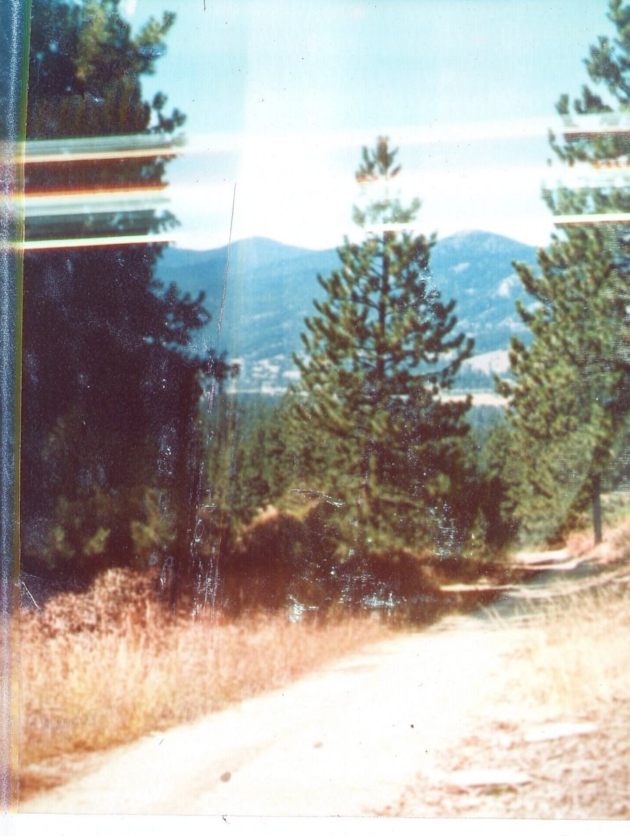 Community (Twitter) image 4