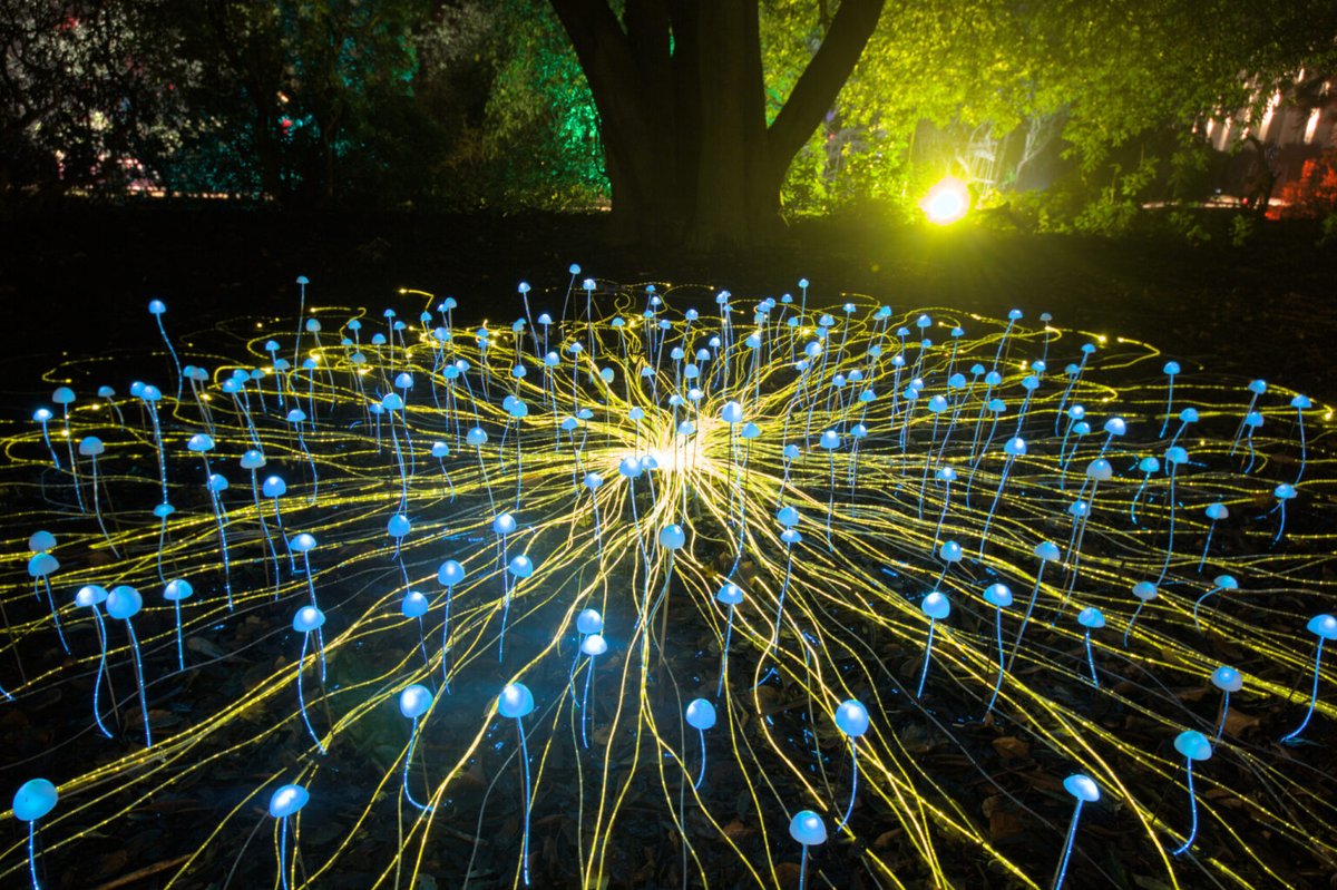 Shopmobility Abdn tweet media