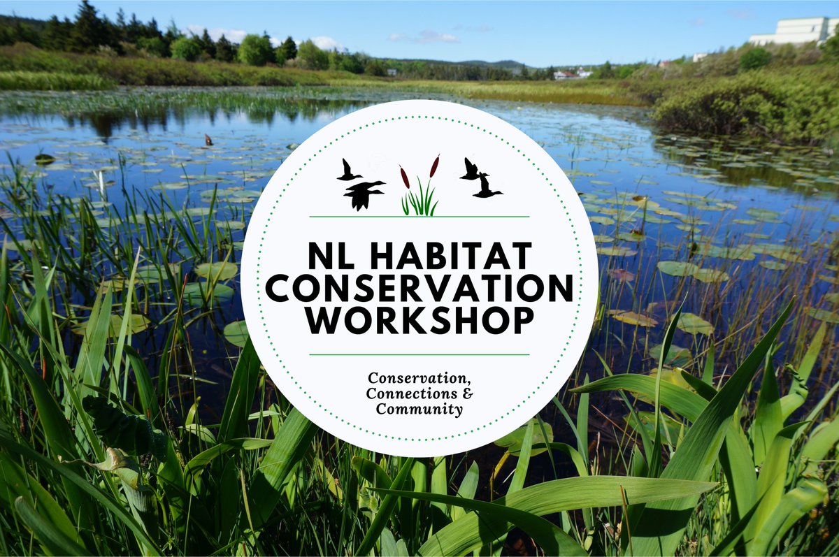 Announcing...The 2025 NL Habitat Conservation Workshop

When:
Tues June 3: 1/2 Day Event for invited NL ENGOs
Wed June 4-Thurs June 5: Habitat Conservation Workshop

Where: @capitalstjohns 

Visit our website for further details and to register: samnl.org/habitat-conser…