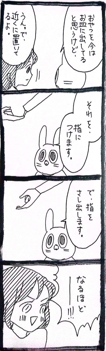 家庭内野良猫みのりちゃん39 