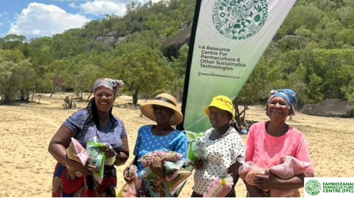 Fambidzanai Permaculture Centre ZWE (@fpc_online) on Twitter photo 1/3 The invaluable support of <a href="/trocaire/">Trócaire</a> in Zim has made a remarkable contribution towards cushioning smallscale farmers from the unpredictable El Niño and La Niña effects and supporting Zim's ambitious target of harvesting +/-1.2 million tonnes of traditional grains this season. 1/3 The invaluable support of <a href="/trocaire/">Trócaire</a> in Zim has made a remarkable contribution towards cushioning smallscale farmers from the unpredictable El Niño and La Niña effects and supporting Zim's ambitious target of harvesting +/-1.2 million tonnes of traditional grains this season.