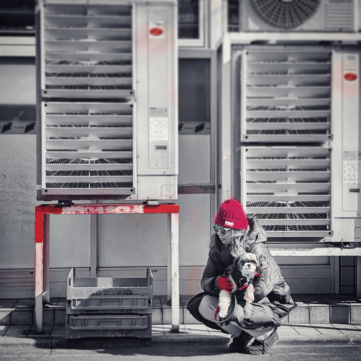 unnaturaljp's tweet image. 鬼編集を抜け出して凍えながらテイクアウトを待つローテンションな女と湯たんぽにされる犬を近所のカメラマンに隠し撮りされた写真。ところで、今月からAMP UPでちょこちょこイベントを開催していこうかと、既に⇨
ampup.jp
#AMPUP