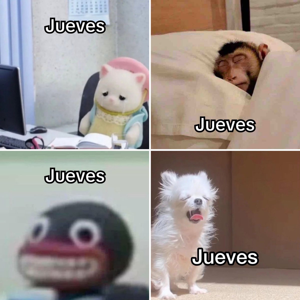 Guarromantico_'s tweet photo. Jueves. https://t.co/TYHuQvN4q8