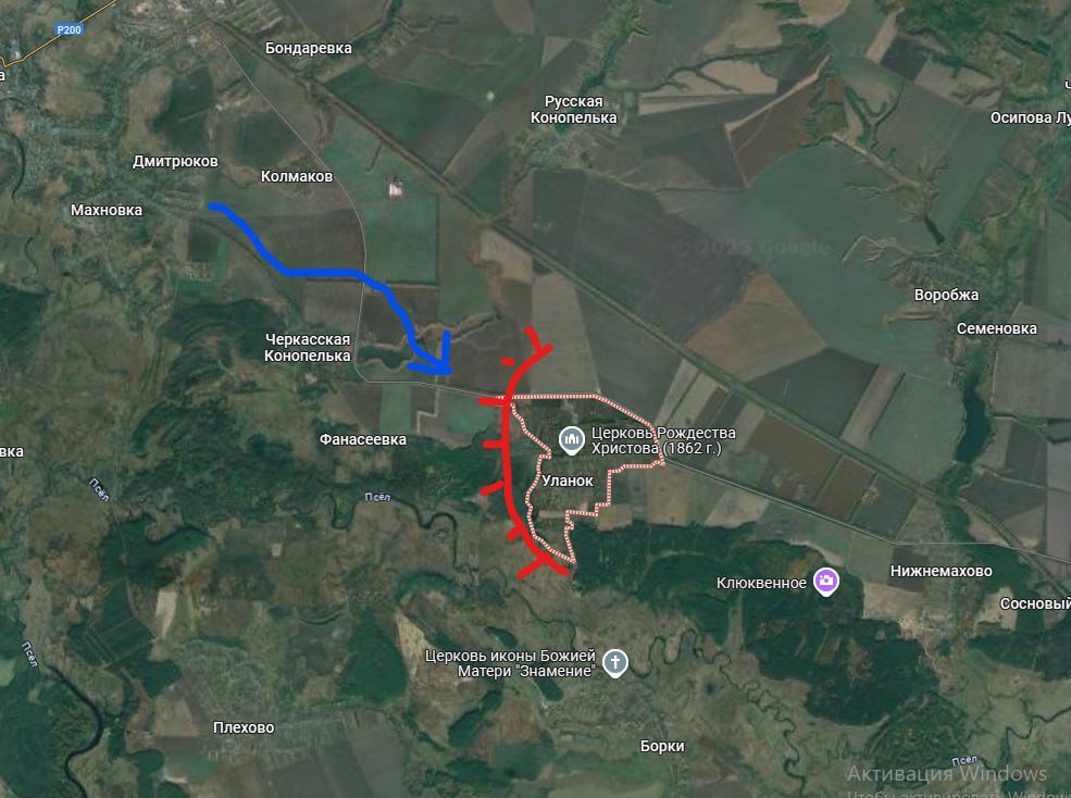 david D. tweet media