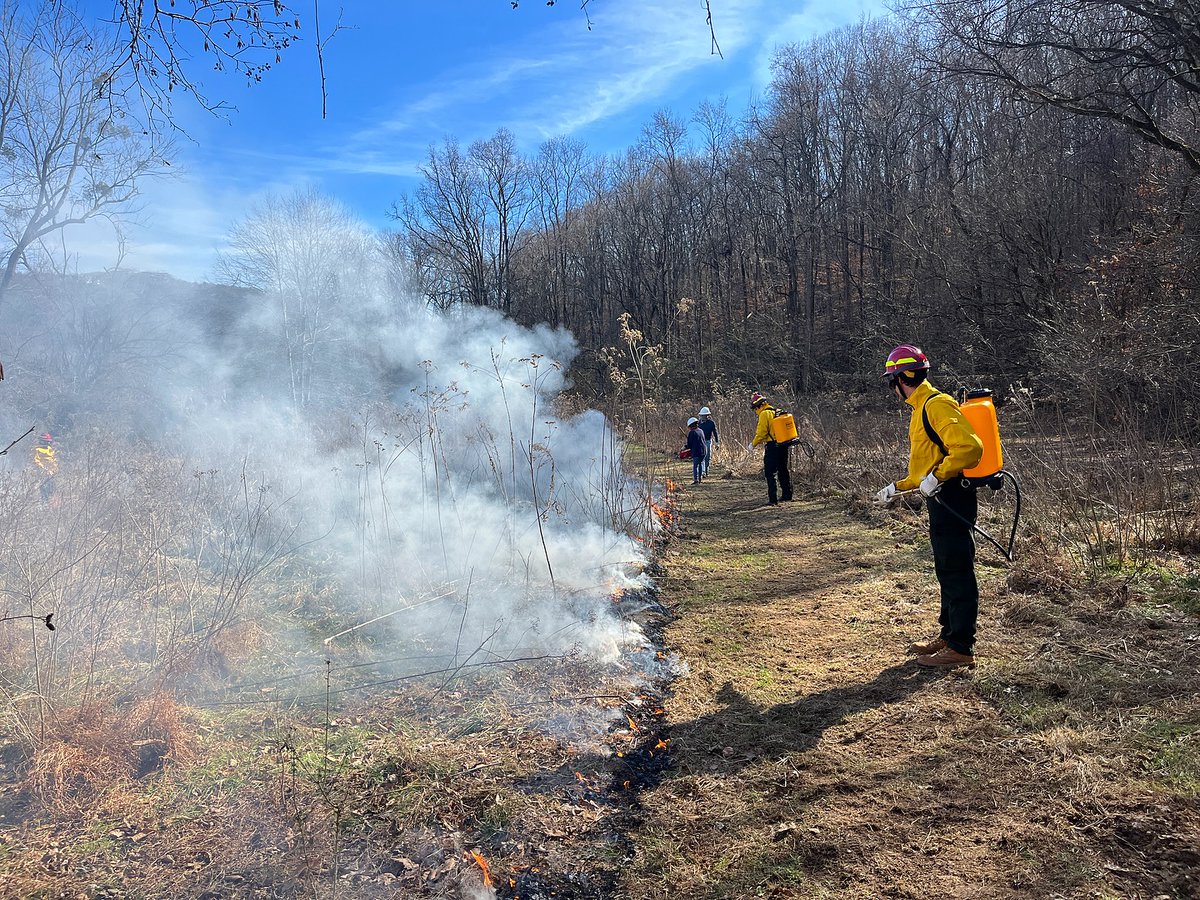tnrivergorge's tweet photo. Using prescribed fire as a restoration tool!

Our stewardship team has partnered with @segrassland to begin restoring habitat in the gorge. Many of these habitats rely on the presence of fire to regenerate and outcompete invasive species.
#tnrivergorge #tnrivergorgetrust https://t.co/7pIQlWRkfK