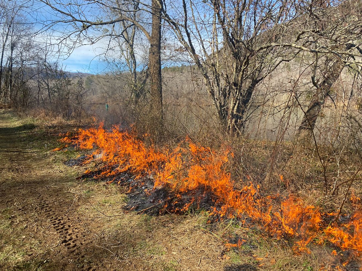 tnrivergorge's tweet photo. Using prescribed fire as a restoration tool!

Our stewardship team has partnered with @segrassland to begin restoring habitat in the gorge. Many of these habitats rely on the presence of fire to regenerate and outcompete invasive species.
#tnrivergorge #tnrivergorgetrust https://t.co/7pIQlWRkfK