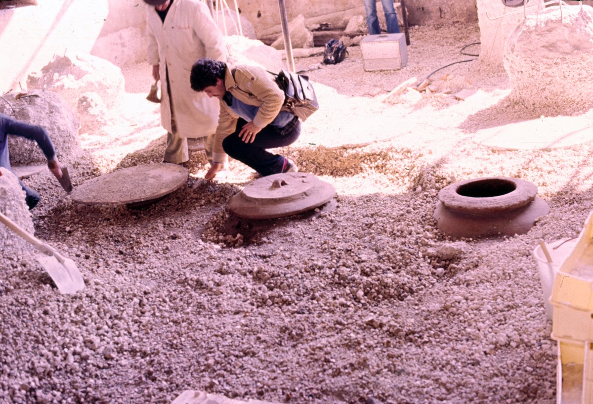 Abbiamo raccolto dall’Archivio del Parco Archeologico di Pompei alcune foto che raccontano la Villa Regina a Boscoreale. In questa immagine del 1980 gli archeologi studiano i dolia della cella vinaria, uno degli ambienti più caratteristici della villa. #ThrowBackThursday