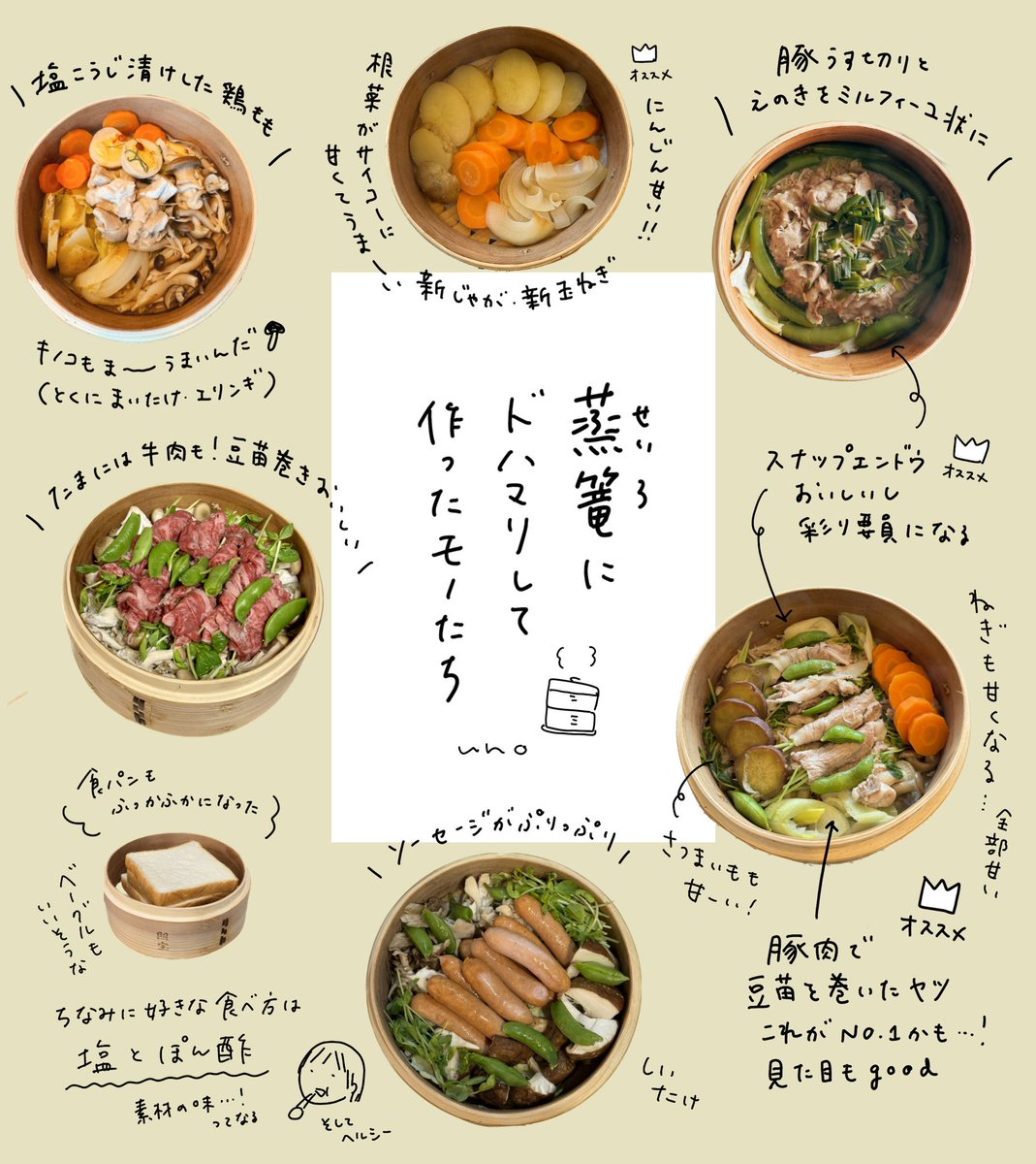 前に描いたせいろの絵日記たち(再掲) 