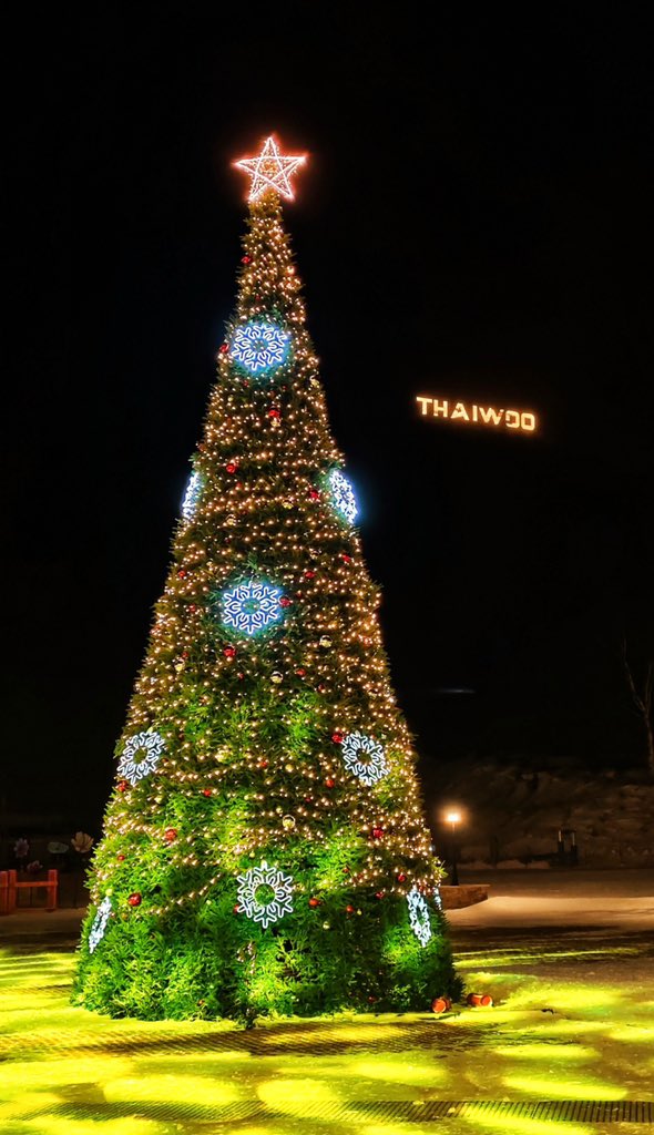 南辕北辙 tweet media