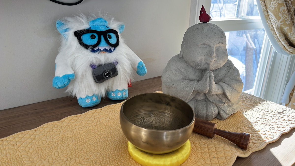 Jeff Cutler tweet media